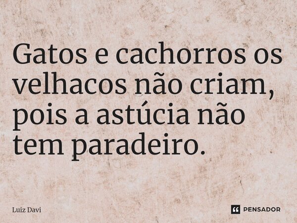 ⁠Gatos e cachorros os velhacos não criam, pois a astúcia não tem paradeiro.... Frase de Luiz davi.