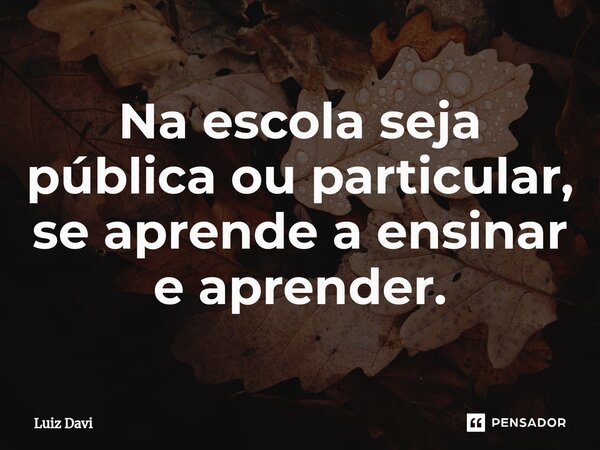 Na escola seja pública ou particular, se aprende a ensinar e aprender.... Frase de Luiz davi.