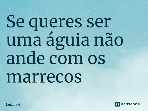 ⁠Se queres ser uma águia não ande com os marrecos... Frase de Luiz davi.