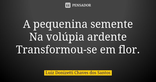 A pequenina semente Na volúpia ardente Transformou-se em flor.... Frase de Luiz Donizetti Chaves dos Santos.