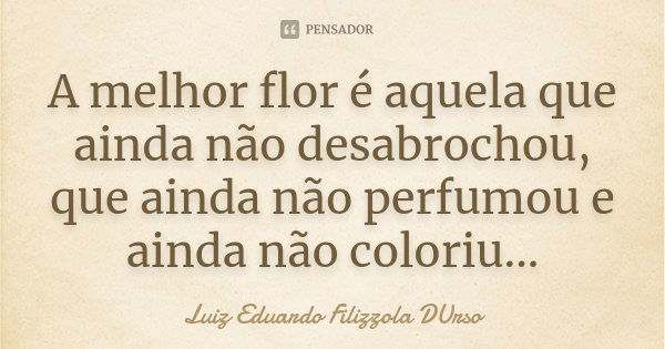 A melhor flor é aquela que ainda não desabrochou, que ainda não perfumou e ainda não coloriu...... Frase de Luiz Eduardo Filizzola DUrso.