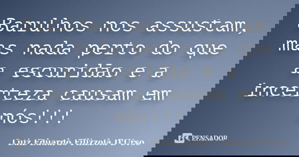 Barulhos nos assustam, mas nada perto do que a escuridão e a incerteza causam em nós!!!... Frase de Luiz Eduardo Filizzola D'Urso.
