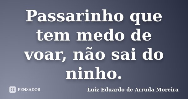 Passarinho que tem medo de voar, não sai do ninho.... Frase de Luiz Eduardo de Arruda Moreira.
