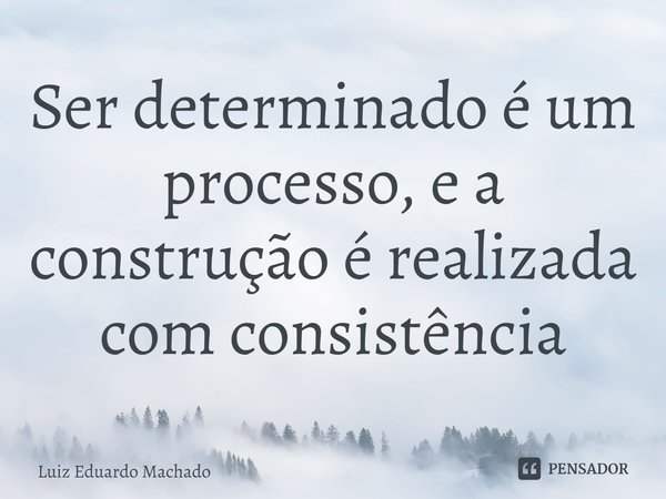 ⁠Ser determinado é um processo, e a construção é realizada com consistência... Frase de Luiz Eduardo Machado.