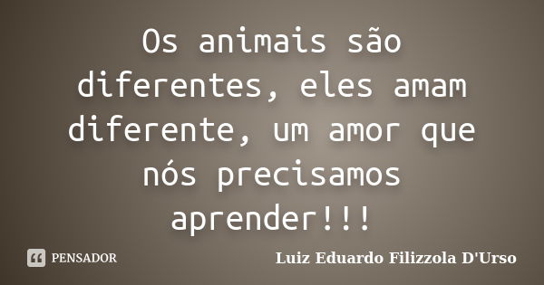 Os animais são diferentes, eles amam diferente, um amor que nós precisamos aprender!!!... Frase de Luiz Eduardo Filizzola D'Urso.