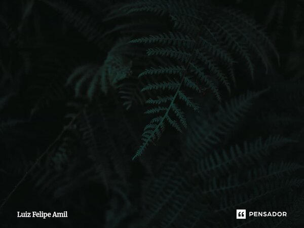 ⁠COBERTOR DE ÁGUAS Essa água azul de piscina revestida Em seu corpo, todo o azul combinado Com a cor dos seus olhos desejados Com o encanto e admiração fluída. ... Frase de Luiz Felipe Amil.