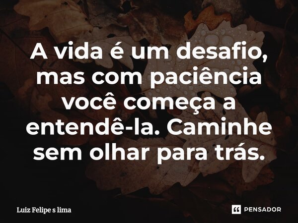 A vida é um desafio, mas com paciência você começa a entendê-la. Caminhe sem olhar para trás.... Frase de Luiz Felipe s lima.