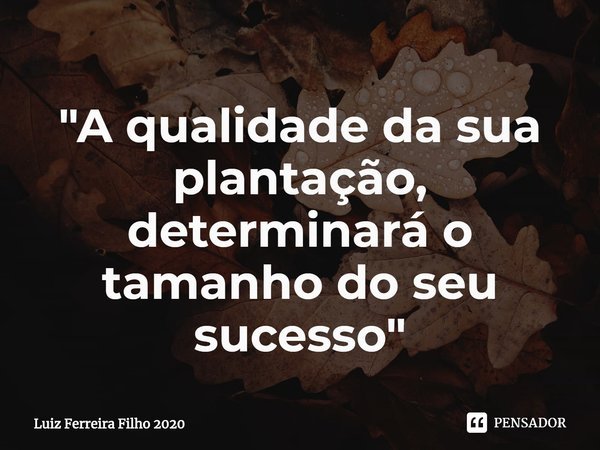 "⁠A qualidade da sua plantação, determinará o tamanho do seu sucesso"... Frase de Luiz Ferreira Filho 2020.