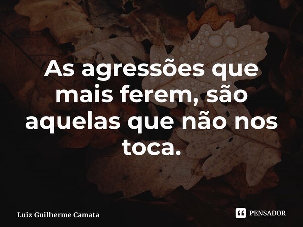 As agressões que mais ferem, são aquelas que não nos toca.... Frase de Luiz Guilherme Camata.