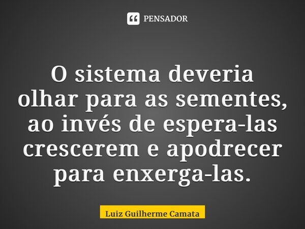 O sistema deveria olhar para as sementes, ao invés de espera-las crescerem e apodrecer para enxerga-las.... Frase de Luiz Guilherme Camata.