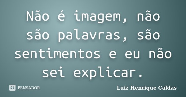Não é imagem, não são palavras, são sentimentos e eu não sei explicar.... Frase de Luiz Henrique Caldas.