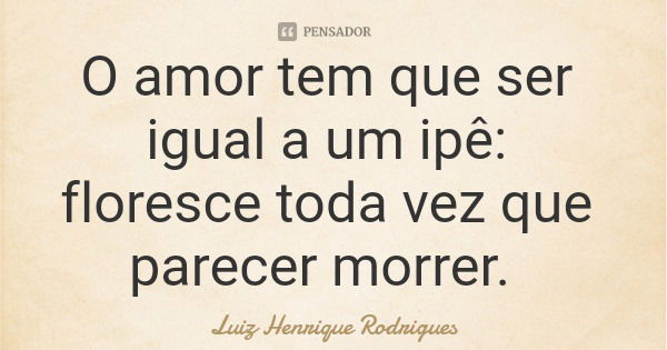 O amor tem que ser igual a um ipê: floresce toda vez que parecer morrer.... Frase de Luiz Henrique Rodrigues.