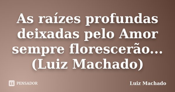 As raízes profundas deixadas pelo Amor sempre florescerão... (Luiz Machado)... Frase de Luiz Machado.