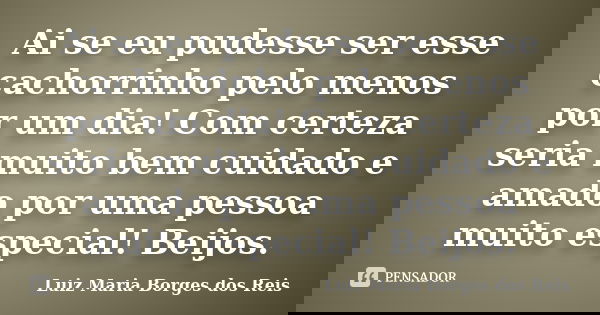 Ai se eu pudesse ser esse cachorrinho pelo menos por um dia! Com certeza seria muito bem cuidado e amado por uma pessoa muito especial! Beijos.... Frase de Luiz Maria Borges dos Reis.