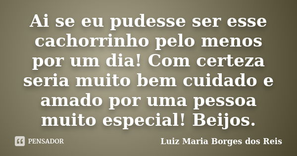 Ai se eu pudesse ser esse cachorrinho pelo menos por um dia! Com certeza seria muito bem cuidado e amado por uma pessoa muito especial! Beijos.... Frase de Luiz Maria Borges dos Reis.