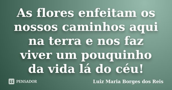 As flores enfeitam os nossos caminhos aqui na terra e nos faz viver um pouquinho da vida lá do céu!... Frase de Luiz Maria Borges dos Reis.