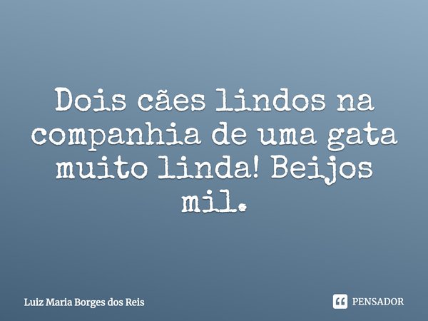 ⁠Dois cães lindos na companhia de uma gata muito linda! Beijos mil.... Frase de Luiz Maria Borges dos Reis.
