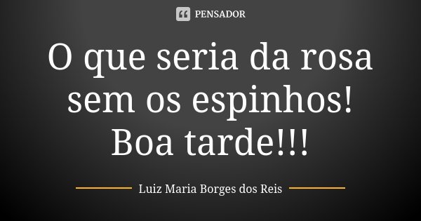O que seria da rosa sem os espinhos! Boa tarde!!!... Frase de Luiz Maria Borges dos Reis.
