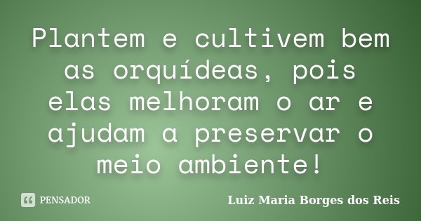Plantem e cultivem bem as orquídeas, pois elas melhoram o ar e ajudam a preservar o meio ambiente!... Frase de Luiz Maria Borges dos Reis.