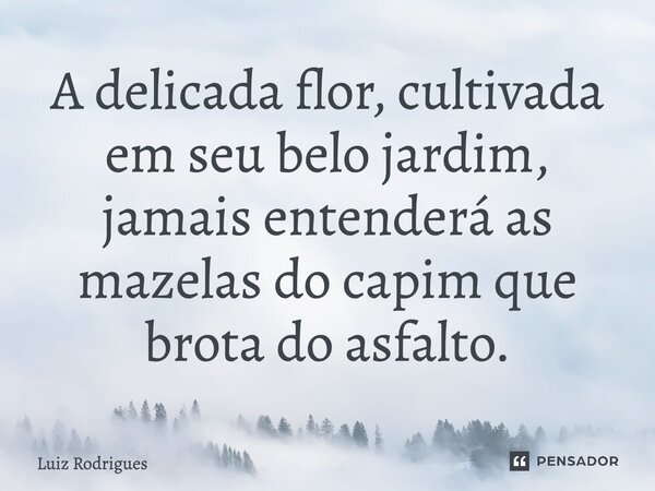 ⁠⁠A delicada flor, cultivada em seu belo jardim, jamais entenderá as mazelas do capim que brota do asfalto.... Frase de Luiz Rodrigues.