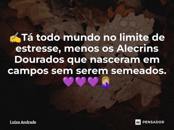 ⁠✍️Tá todo mundo no limite de estresse, menos os Alecrins Dourados que nasceram em campos sem serem semeados. 💜💜💜🤦🏼‍♀️... Frase de Luiza Andrade.