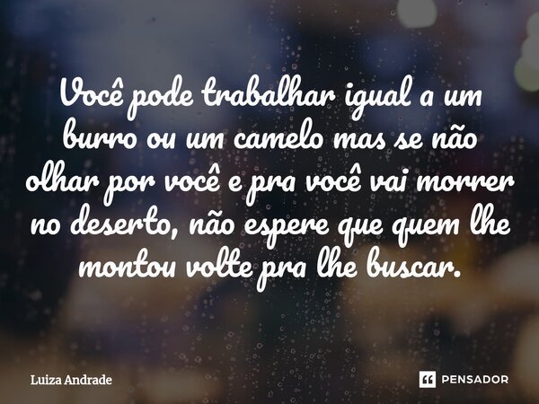 ⁠Você pode trabalhar igual a um burro ou um camelo mas se não olhar por você e pra você vai morrer no deserto, não espere que quem lhe montou volte pra lhe busc... Frase de Luiza Andrade.