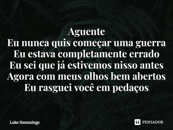 ⁠Aguente Eu nunca quis começar uma guerra Eu estava completamente errado Eu sei que já estivemos nisso antes Agora com meus olhos bem abertos Eu rasguei você em... Frase de Luke Hemmings.