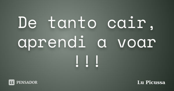 De tanto cair, aprendi a voar !!!... Frase de Lu Picussa.