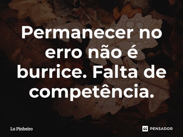 ⁠Permanecer no erro não é burrice. Falta de competência.... Frase de Lu Pinheiro.