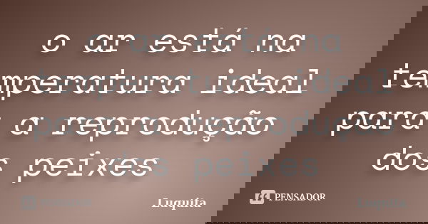 o ar está na temperatura ideal para a reprodução dos peixes... Frase de Luquita.