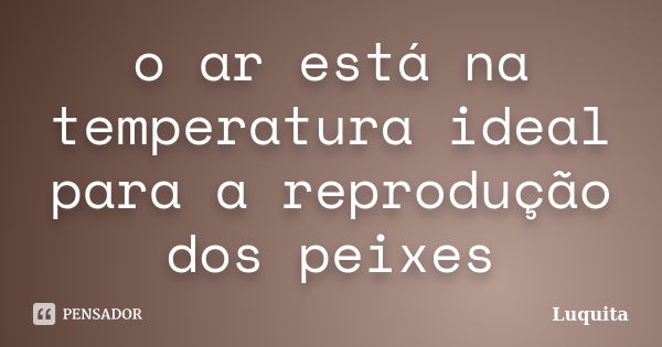 o ar está na temperatura ideal para a reprodução dos peixes... Frase de Luquita.