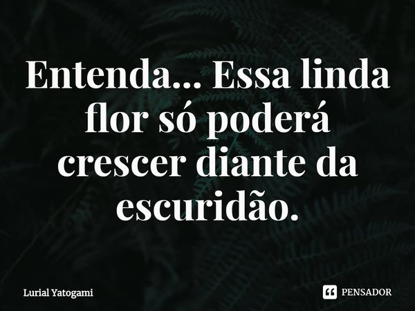 ⁠Entenda... Essa linda flor só poderá crescer diante da escuridão.... Frase de Lurial Yatogami.