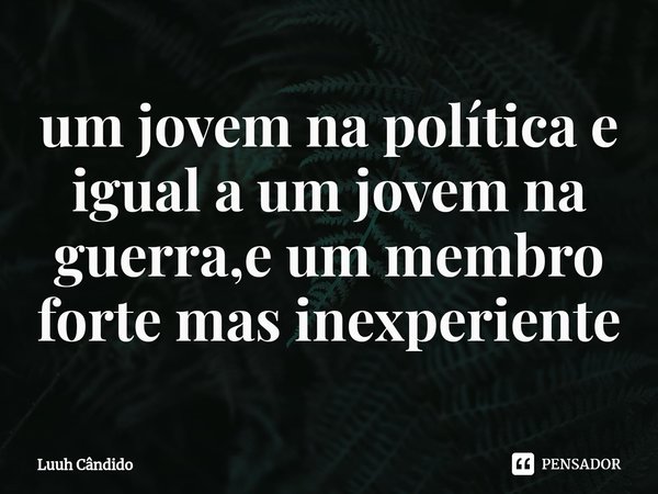 ⁠um jovem na política e igual a um jovem na guerra,e um membro forte mas inexperiente... Frase de Luuh Cândido.