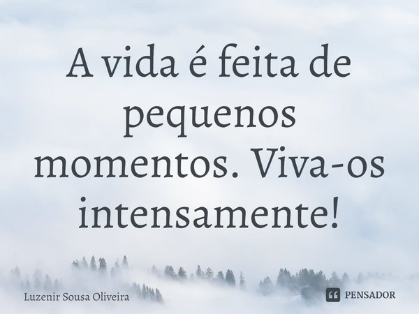 ⁠A vida é feita de pequenos momentos. Viva-os intensamente!... Frase de Luzenir Sousa Oliveira.