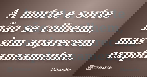 A morte e sorte não se colhem, mas sim aparecem expotaneamente.... Frase de Macache.