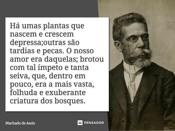 ⁠Há umas plantas que nascem e crescem depressa;outras são tardias e pecas. O nosso amor era daquelas; brotou com tal ímpeto e tanta seiva, que, dentro em pouco,... Frase de Machado de Assis.