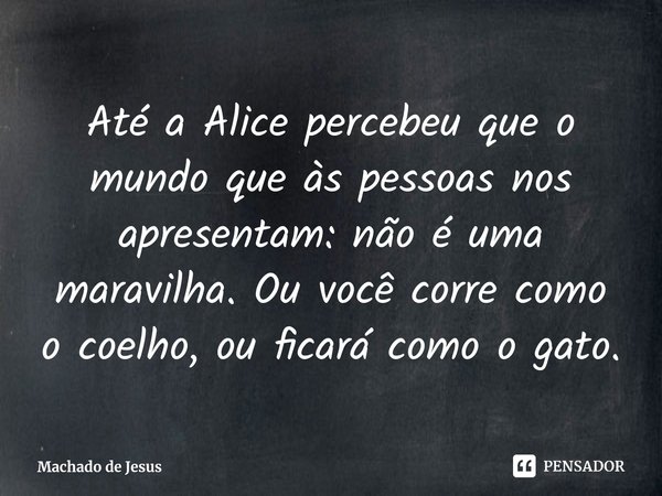 ⁠Até a Alice percebeu que o mundo que às pessoas nos apresentam: não é uma maravilha. Ou você corre como o coelho, ou ficará como o gato.... Frase de Machado de Jesus.