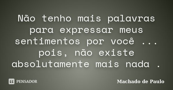 Não tenho mais palavras para expressar meus sentimentos por você ... pois, não existe absolutamente mais nada .... Frase de Machado de Paulo.