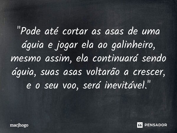 ⁠"Pode até cortar as asas de uma águia e jogar ela ao galinheiro, mesmo assim, ela continuará sendo águia, suas asas voltarão a crescer, e o seu voo, será ... Frase de macjhogo.