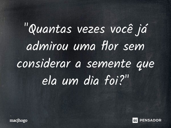 ⁠"Quantas vezes você já admirou uma flor sem considerar a semente que ela um dia foi?"... Frase de macjhogo.