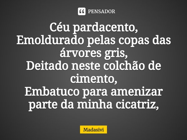 ⁠Céu pardacento,
Emoldurado pelas copas das árvores gris,
Deitado neste colchão de cimento,
Embatuco para amenizar parte da minha cicatriz,... Frase de Madasivi.