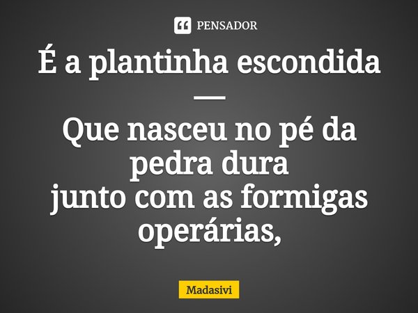 ⁠⁠É a plantinha escondida —
Que nasceu no pé da pedra dura
junto com as formigas operárias,... Frase de Madasivi.