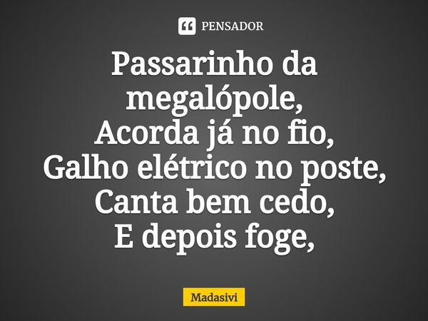 ⁠Passarinho da megalópole,
Acorda já no fio,
Galho elétrico no poste,
Canta bem cedo,
E depois foge,... Frase de Madasivi.