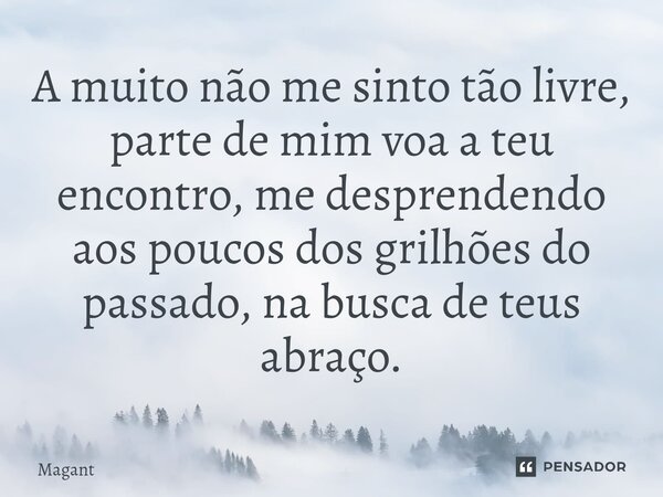 ⁠A muito não me sinto tão livre, parte de mim voa a teu encontro, me desprendendo aos poucos dos grilhões do passado, na busca de teus abraço.... Frase de Magant.