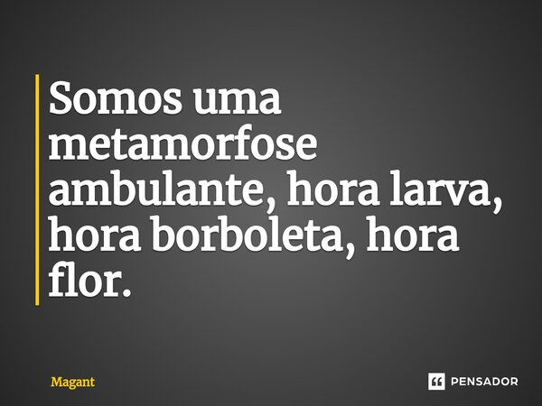 ⁠Somos uma metamorfose ambulante, hora larva, hora borboleta, hora flor.... Frase de Magant.