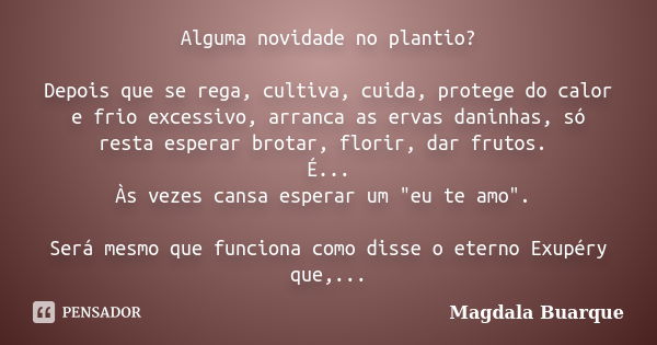 Alguma novidade no plantio? Depois que se rega, cultiva, cuida, protege do calor e frio excessivo, arranca as ervas daninhas, só resta esperar brotar, florir, d... Frase de magdala Buarque.