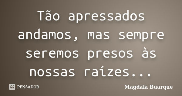 Tão apressados andamos, mas sempre seremos presos às nossas raízes...... Frase de Magdala Buarque.