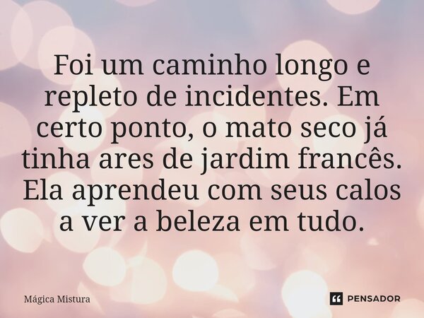 Foi um caminho longo e repleto de incidentes. Em certo ponto, o mato seco já tinha ares de jardim francês. Ela aprendeu com seus calos a ver a beleza em tudo.... Frase de Mágica Mistura.