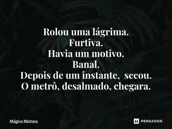 Rolou uma lágrima. Furtiva. Havia um motivo. Banal. Depois de um instante, secou. O metrô, desalmado, chegara.... Frase de Mágica Mistura.
