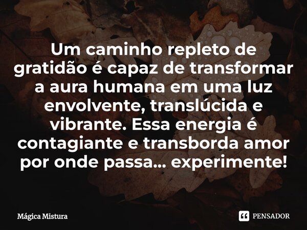⁠Um caminho repleto de gratidão é capaz de transformar a aura humana em uma luz envolvente, translúcida e vibrante. Essa energia é contagiante e transborda amor... Frase de Mágica Mistura.